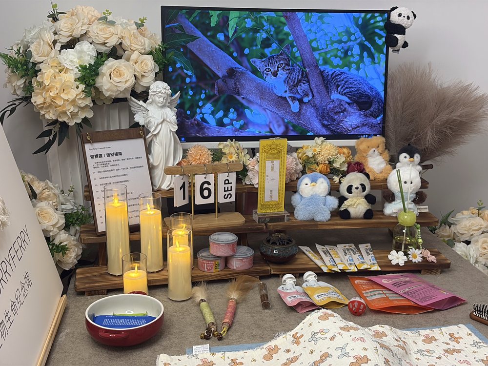 宠物告别仪式现场布置